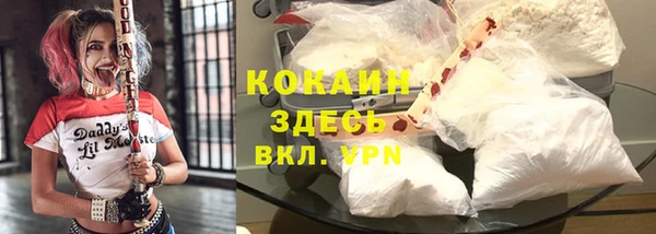 твердый Алзамай
