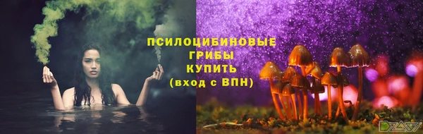 твердый Алзамай
