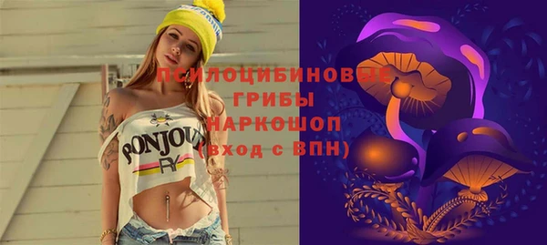 хмурый Арсеньев