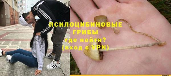 твердый Алзамай