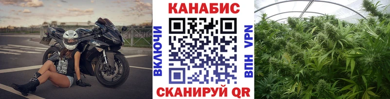 Конопля сатива что такое Углич